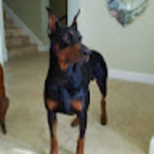 Meet your Posher, Michelle